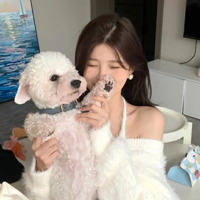女神捕之迷局